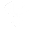 技能 秧秧·玄翎 变奏技能.png