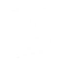 技能 嘉贝莉娜 变奏技能.png