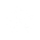 技能 弗洛洛 共鸣回路.png