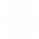 技能 菲比 变奏技能.png