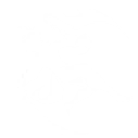 技能 布兰特 共鸣技能.png