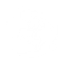 技能 达妮娅 变奏技能.png
