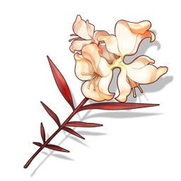 道具 血叶荚蒾.png