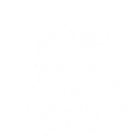 技能 卡提希娅 共鸣解放.png