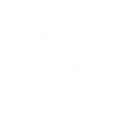 技能 露帕 变奏技能.png