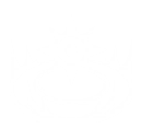 技能 菲比 共鸣技能.png