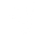 技能 佩枪 谐度破坏.png