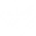 技能 布兰特 共鸣解放.png