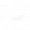 技能 漂泊者·湮灭 共鸣解放.png