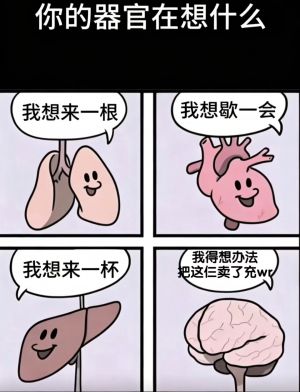 1775642453616 opus img 1.jpeg