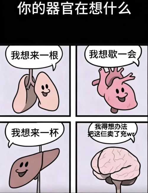 1775642453616 opus img 1.jpeg