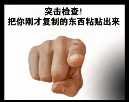 1751625636556 opus img 1.jpg