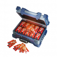 Festival gacha token red1.png