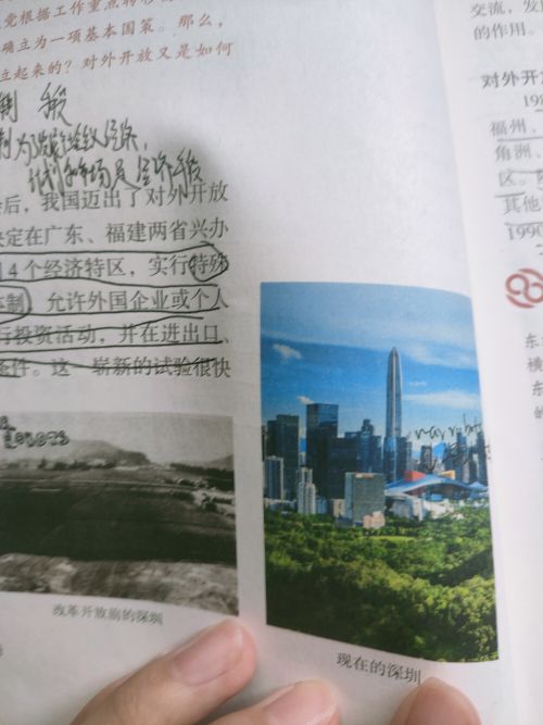 1752206443821 opus img 2.jpg