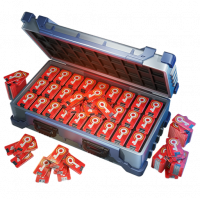 Festival gacha token red2.png