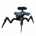 Rayker.png