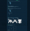 1751625173224 opus img 1.png