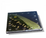 Gepard V1 CROC.png
