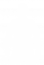 Pilot ordinary skill.png