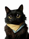 Kittywr.png