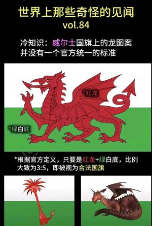 1766050606607 opus img 1.jpeg