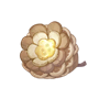 道具纽扣松果.png