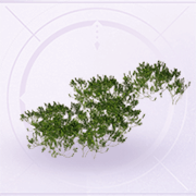 家具灌木·密.png