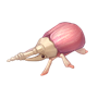 道具美甲金龟.png