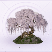 家具暖色花树.png