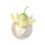 道具日光果.png
