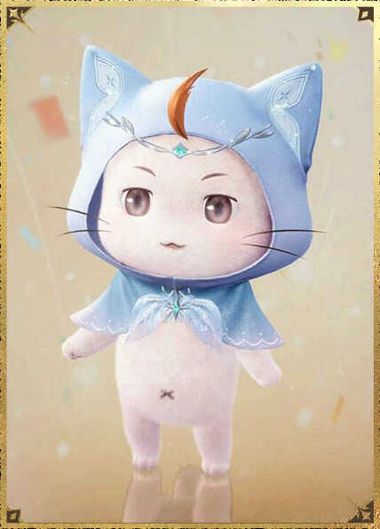 大喵斗篷·轻纱02.jpg