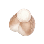 道具汪汪毛线.png