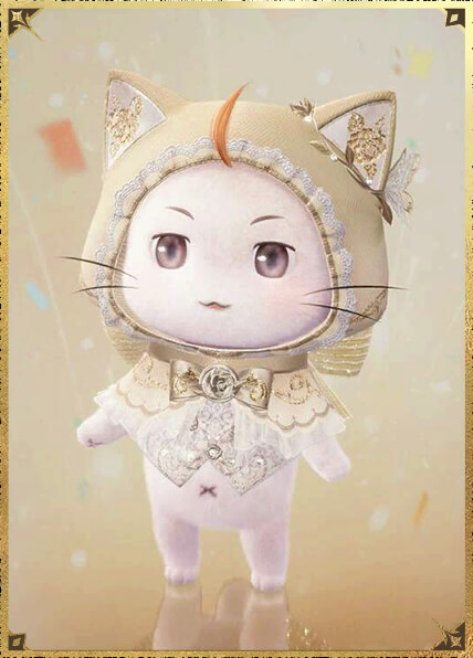 大喵斗篷·灿金02.jpg