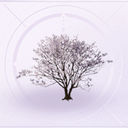 家具樱色灌木.png