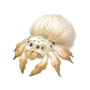道具织衣蛛.png