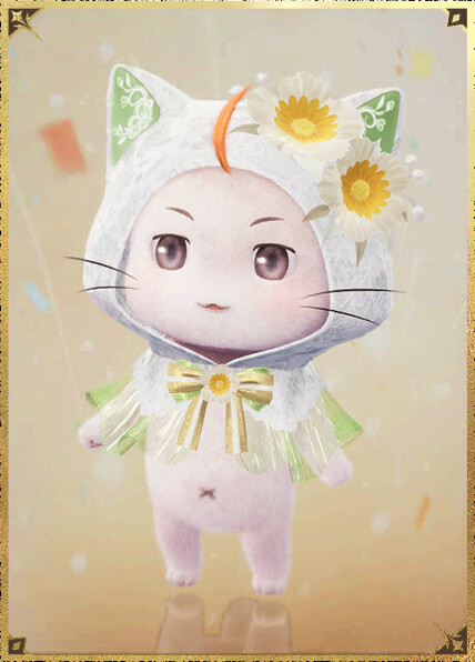 大喵斗篷·暖菊02.jpg