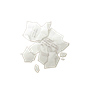 道具掉落的纸张.png