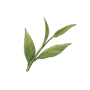 道具芽之韵.png