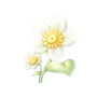 道具小绵菊.png