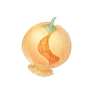 道具布布果.png