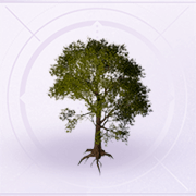 家具布布果树.png