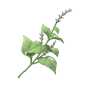 道具醇药之味.png