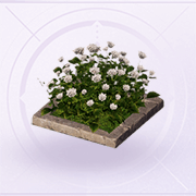 家具轻霞花坛.png
