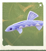 生物发夹泥鳅.png