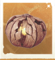 生物宝匣瓜.png