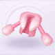 部件粉红魅影01.png