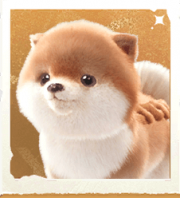 生物毛线汪汪.png