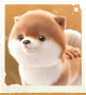 生物毛线汪汪.png