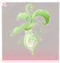 生命之书·脚部绿.png