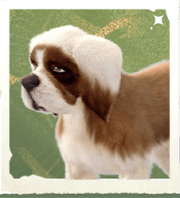生物厚礅礅犬.png